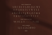Quilten Elegant Serif Font, a Serif Font by Graphicxell (Thumbnail 7 of 8)