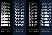 Randion, a Serif Font by StudioRhd (Thumbnail 3 of 14)