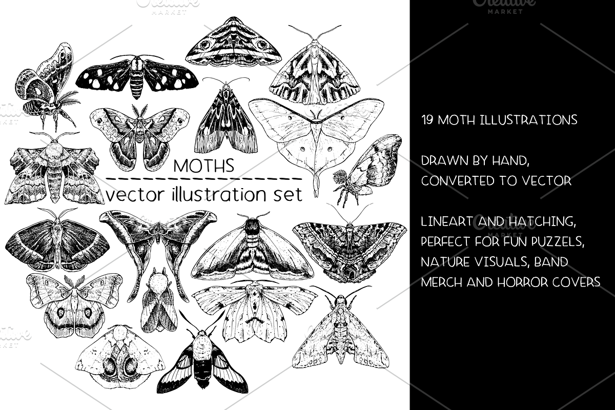 Moths - vector illustration set, an Animal Illustration by Renée from Studio neetje (Photo 2 of 5)