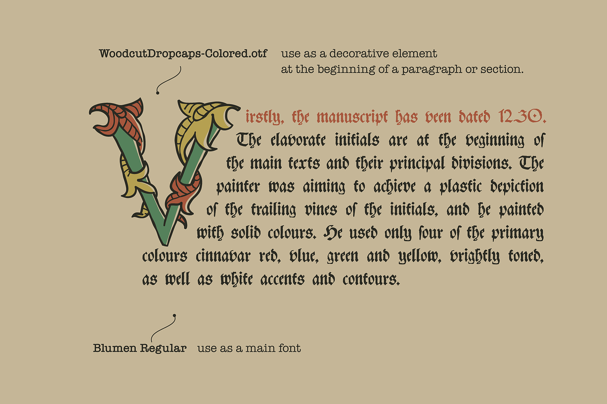 Woodcut Dropcaps, a Blackletter Font by kaer_shop (Photo 4 of 12)
