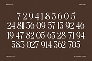 The Andalucia Serif, a Serif Font by Pista Mova (Thumbnail 16 of 26)