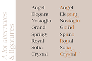 Valdo Font Family, a Serif Font by Larin Type Co. (Thumbnail 12 of 15)