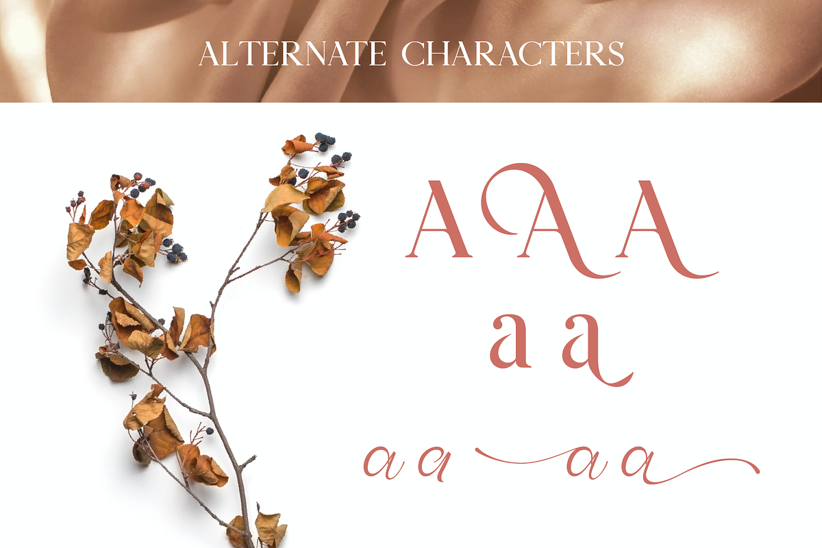 Doren Perfume, a Serif Font by Burntilldead (Photo 12 of 15)