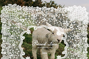 Pressed Lace Frames, a Texture Graphic by Purple (Thumbnail 3 of 16)
