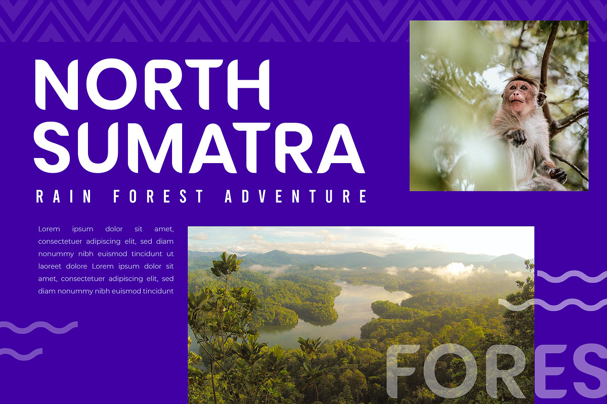 NOMA Sans Serif Font preview 7