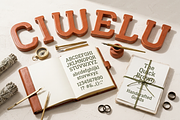 Ciwelu | A Sophisticated Serif, a Serif Font by Astuti Studio (Thumbnail 18 of 25)