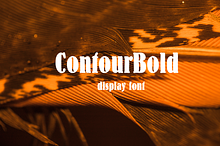 ContourBold-09-24-Regular