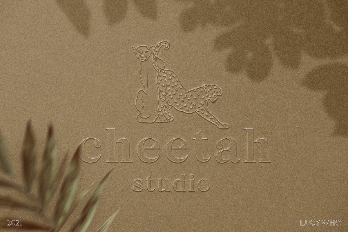 Kiak Serif Font, a Serif Font by lucywho.studio (Photo 2 of 10)