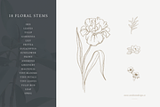 Floral Stems: Botanical Illustration, an Illustration by Sarah Ann Design (Thumbnail 2 of 7)