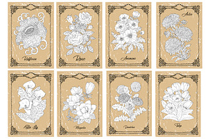 Big Set Of Vector Hand Drawn Flowers