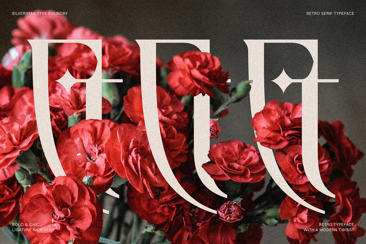 Fragilità - A Retro Ligature Serif, a Serif Font by SilverStag Type Foundry (Photo 5 of 26)