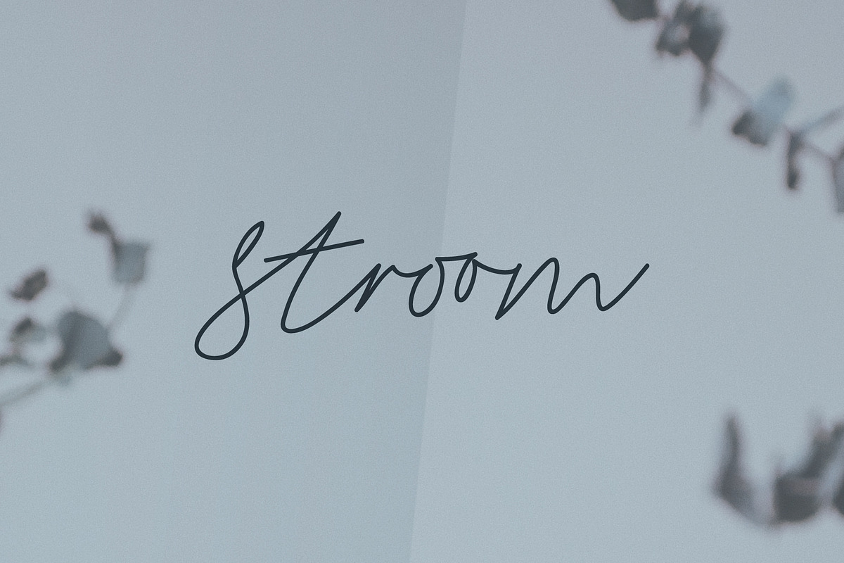 Stroom - Signature Script Font, a Script Font by Colt Type Co (Photo 10 of 10)