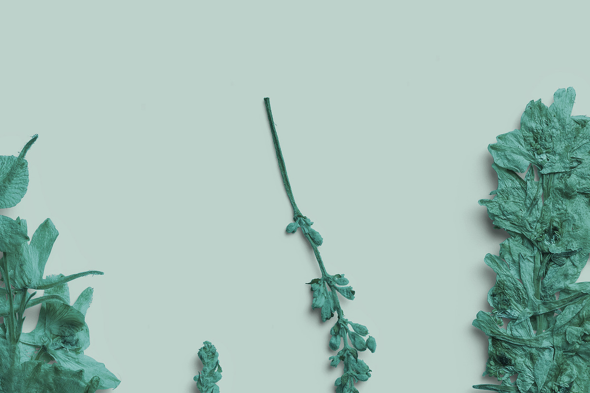 Azure Pressed Botanical PNG Pack, an Object Graphic by Custom Scene (Photo 5 of 8)