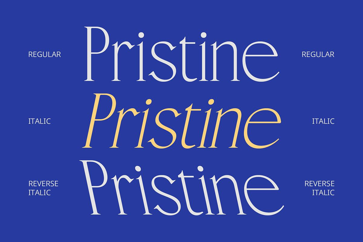 CS Rachel – Elegant Font, a Serif Font by Craft Supply Co. (Photo 3 of 8)