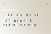 Mailvien - Modern Ligature Typeface, a Serif Font by BrandSemut (Thumbnail 8 of 10)