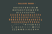 Gallicide With Extras, a Slab Serif Font by MuSan (Thumbnail 2 of 7)