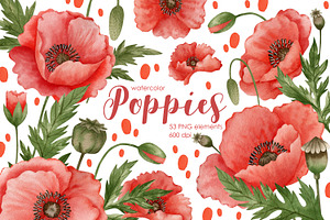 Watercolor Poppies., a Decorative Illustration by Kira Konoshenko