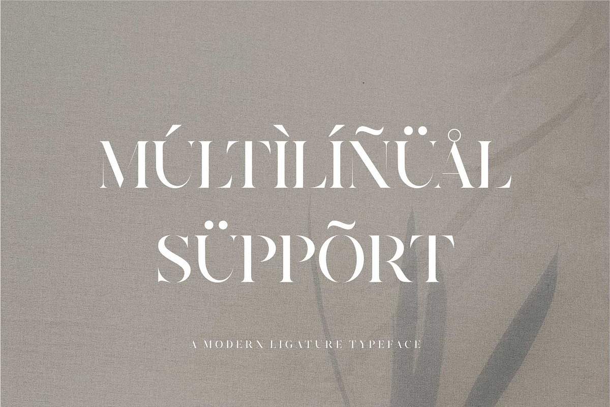 Riqas Modern Ligature Serif, a Serif Font by Dylla_studio (Photo 10 of 12)