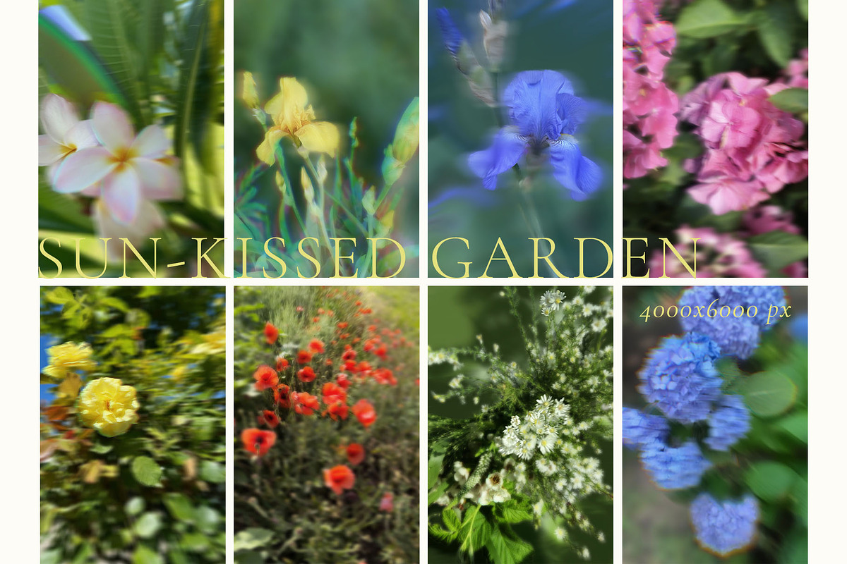 Blurry Flowers Abstract Backgrounds, a Background Graphic by Yuliya Derbisheva (Photo 7 of 15)