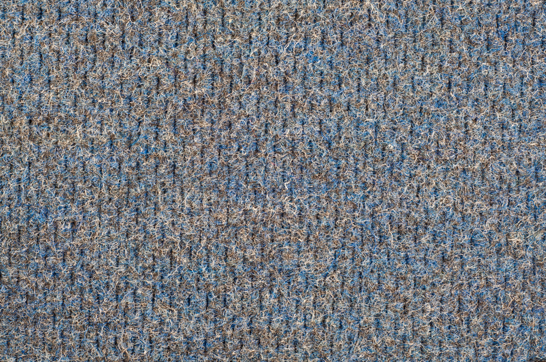 Carpet Texture