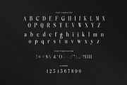 Srama Elegant Luxury Serif Font, a Serif Font by Perfectype (Thumbnail 7 of 8)