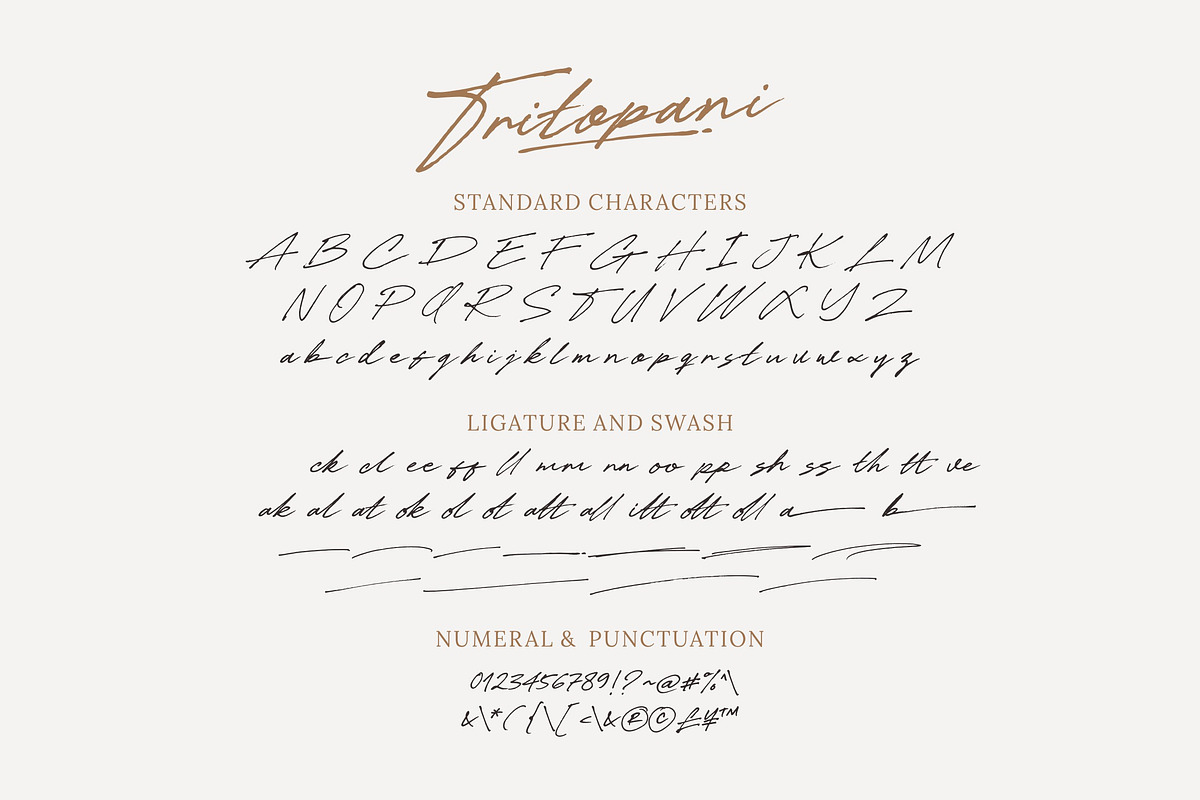 Tritopani - Real Signature, a Handwritten Font by ErgibiStudio (Photo 10 of 10)