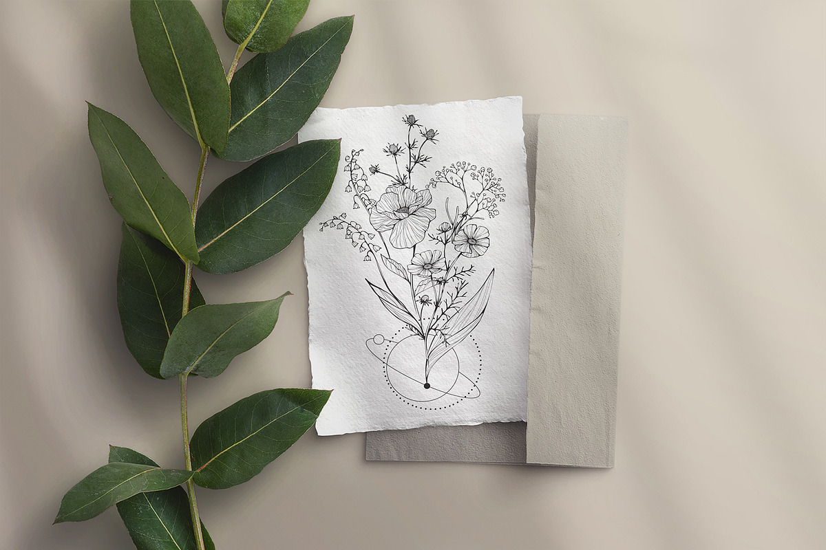 Wildflowers collection, a Decorative Illustration by Merfin (Photo 10 of 11)