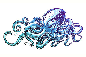 Octopus Vector Art