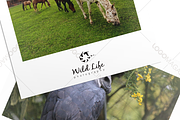 Photography WildLife  Logo, a Branding & Logo Template by LogoBuy (Thumbnail 5 of 5)
