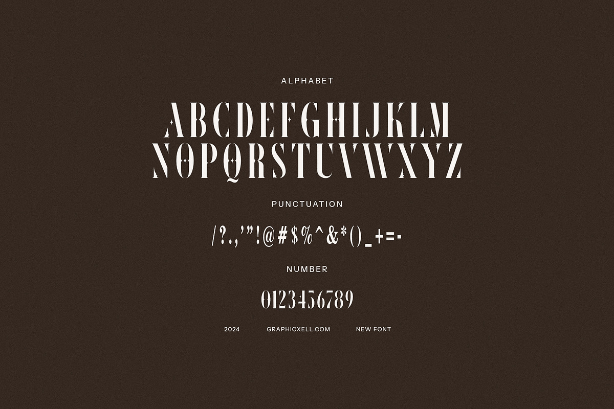New Year Elegant Serif, a Serif Font by Graphicxell (Photo 7 of 7)