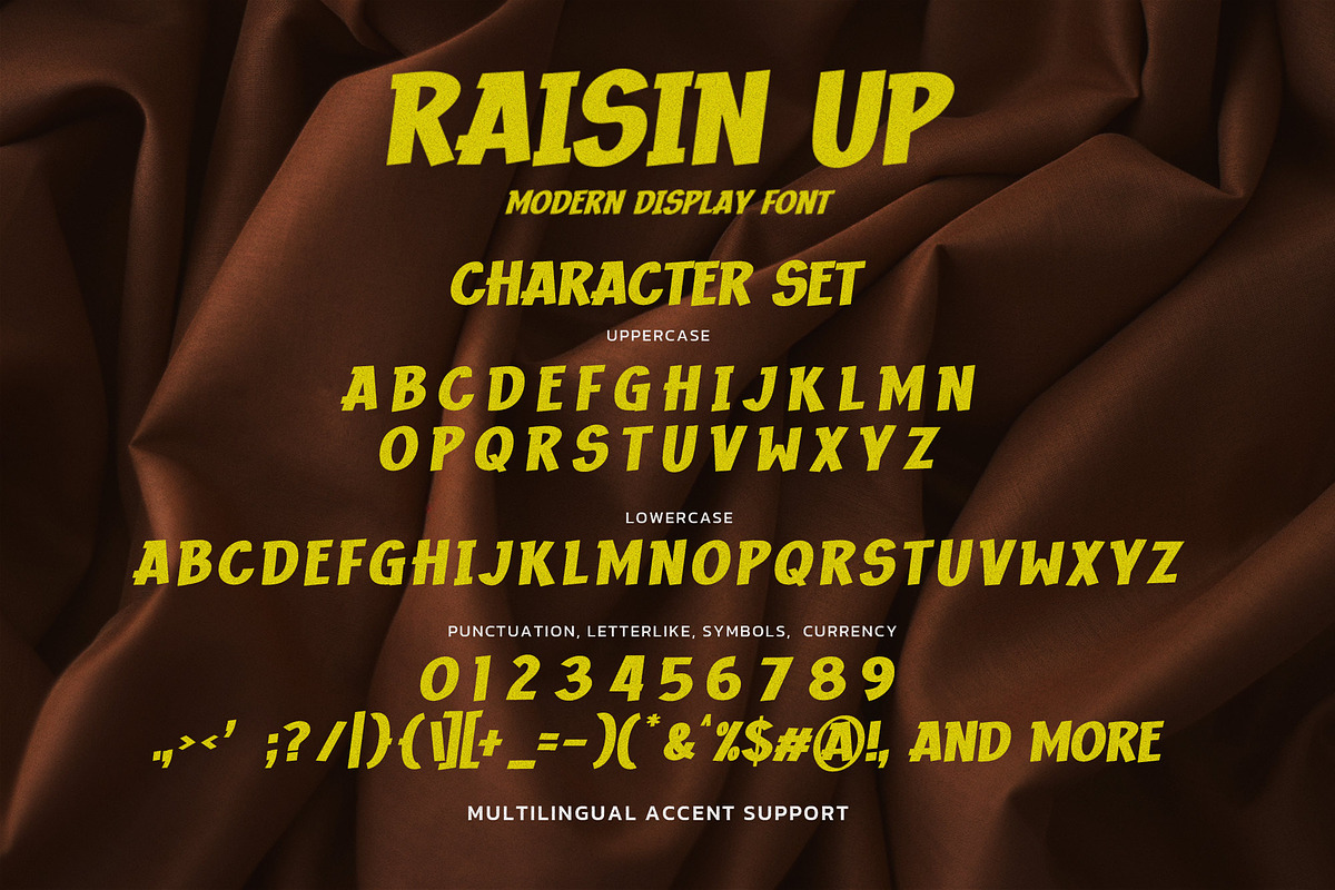 RAISIN UP - Modern Display Font, a Font by Gassstype (Photo 8 of 8)