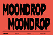 Stretchy Organic - Compressed Font, a Sans Serif Font by Zarma Type (Thumbnail 7 of 10)