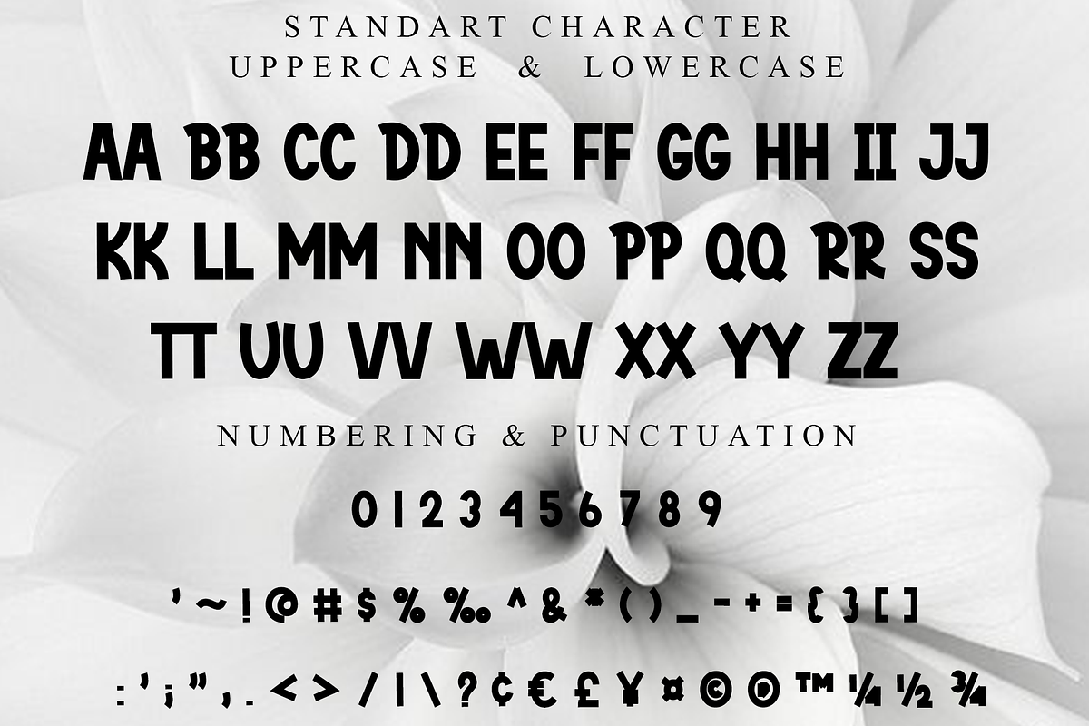 Bright, a Script Font by FreshTypeINK (Photo 6 of 6)