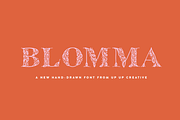 Blomma Hand-Drawn Display Font, a Serif Font by Up Up Creative (Thumbnail 1 of 12)