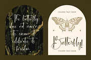 Delicately Stylish Handwritten Font, a Serif Font by stylishtype.co (Thumbnail 8 of 20)