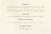 Monarchy Script, a Script Font by Romiecreative (Thumbnail 10 of 12)