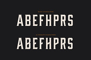 OUTLAW LEGENDS Font Duo + Extra, a Serif Font by Davide Bassu (Thumbnail 13 of 18)