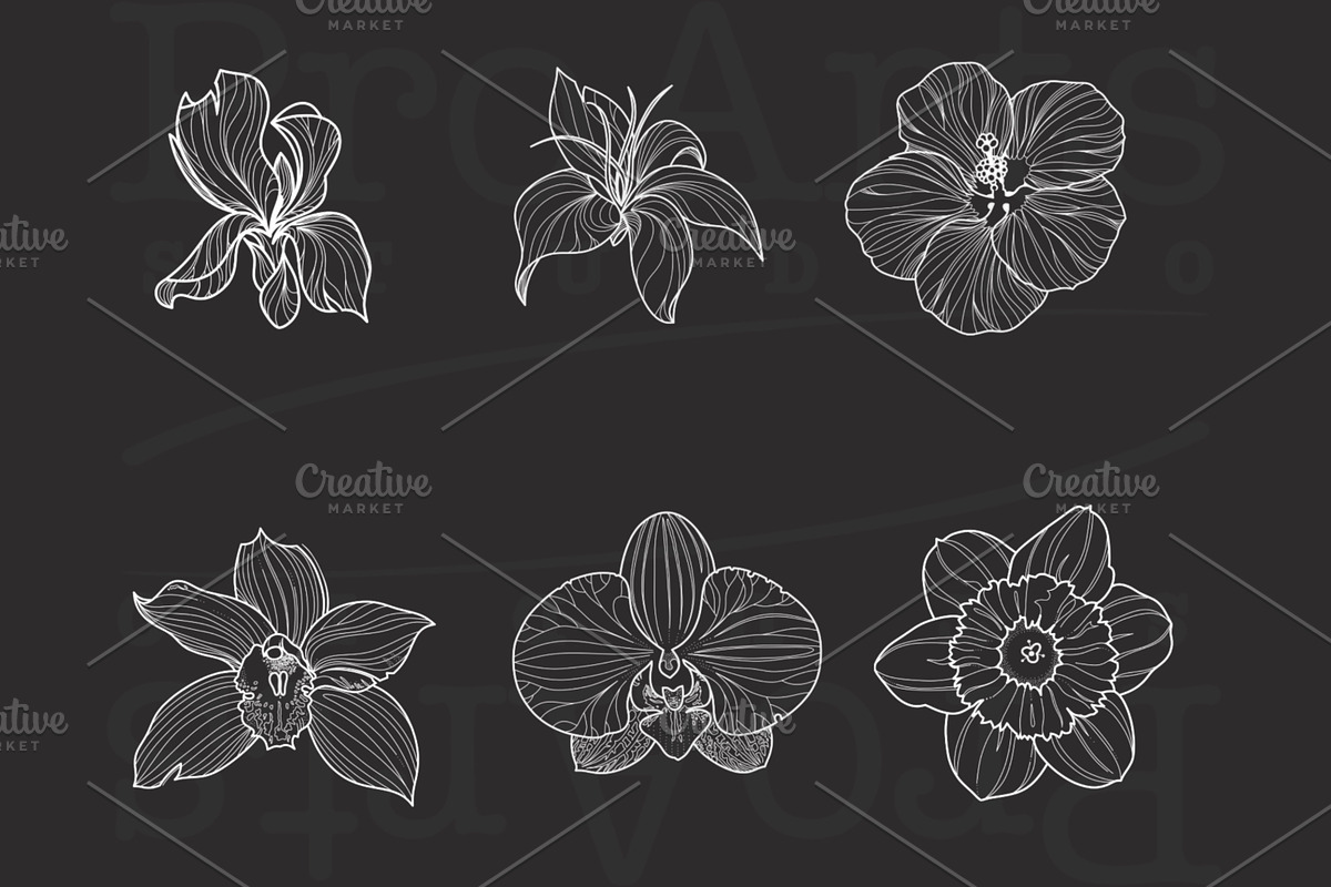 Ornament + Flowers, Pattern + Flower, a Brush Add-On by Lucrumplus (Photo 7 of 10)