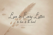 Arine Rosevaly - Romantic Script, a Script Font by HypeWorksCo (Thumbnail 12 of 15)