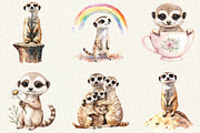 Watercolor Cute Meerkat Clipart, an Illustration by OK Design (Thumbnail 2 of 5)