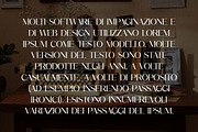 Biconvex Elegant Serif Font, a Serif Font by UICreative (Thumbnail 3 of 13)