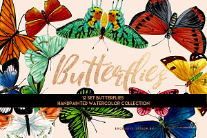 12 Set Butterflies & Pattern.