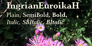 IngrianEuroika, a Serif Font by Ingrimayne Type (Thumbnail 1 of 9)