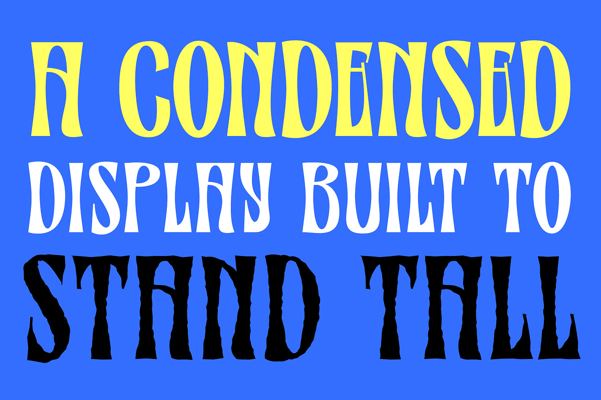 NORG — Condensed Display, a Serif Font by Get Studio (Photo 8 of 8)