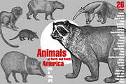 Animals of North and South America., an Object Graphic by MarinaVorontsova (Thumbnail 1 of 5)
