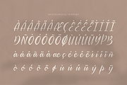 Palfian | Brush Solid Script, a Script Font by gracetype_studio (Thumbnail 13 of 13)