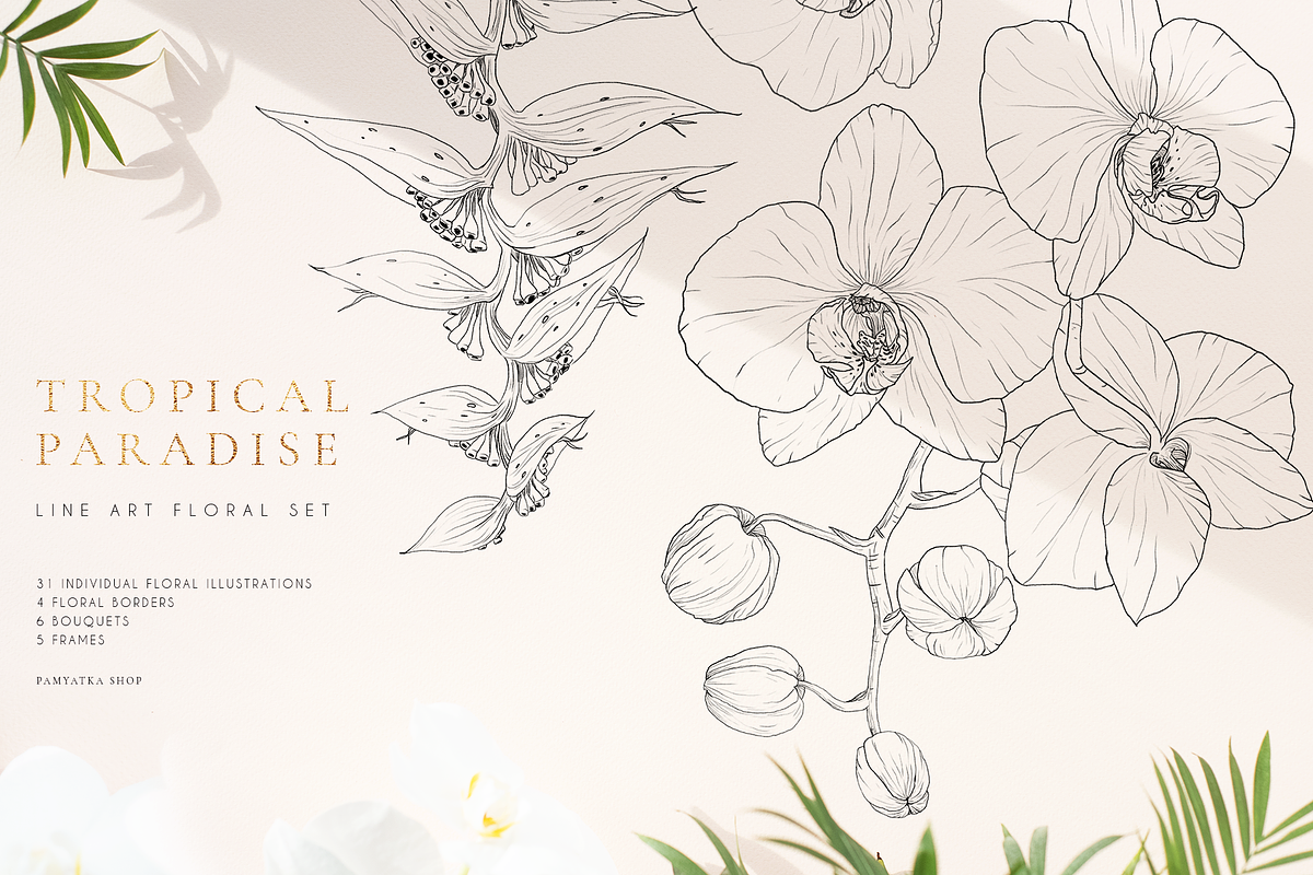 Tropical paradise. Line art set, an Illustration by Pamyatka Shop (Photo 8 of 13)