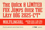Retroristic Typeface, a Serif Font by The Good Store (Thumbnail 3 of 11)