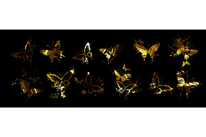 Set Of Golden Butterflies On A Black