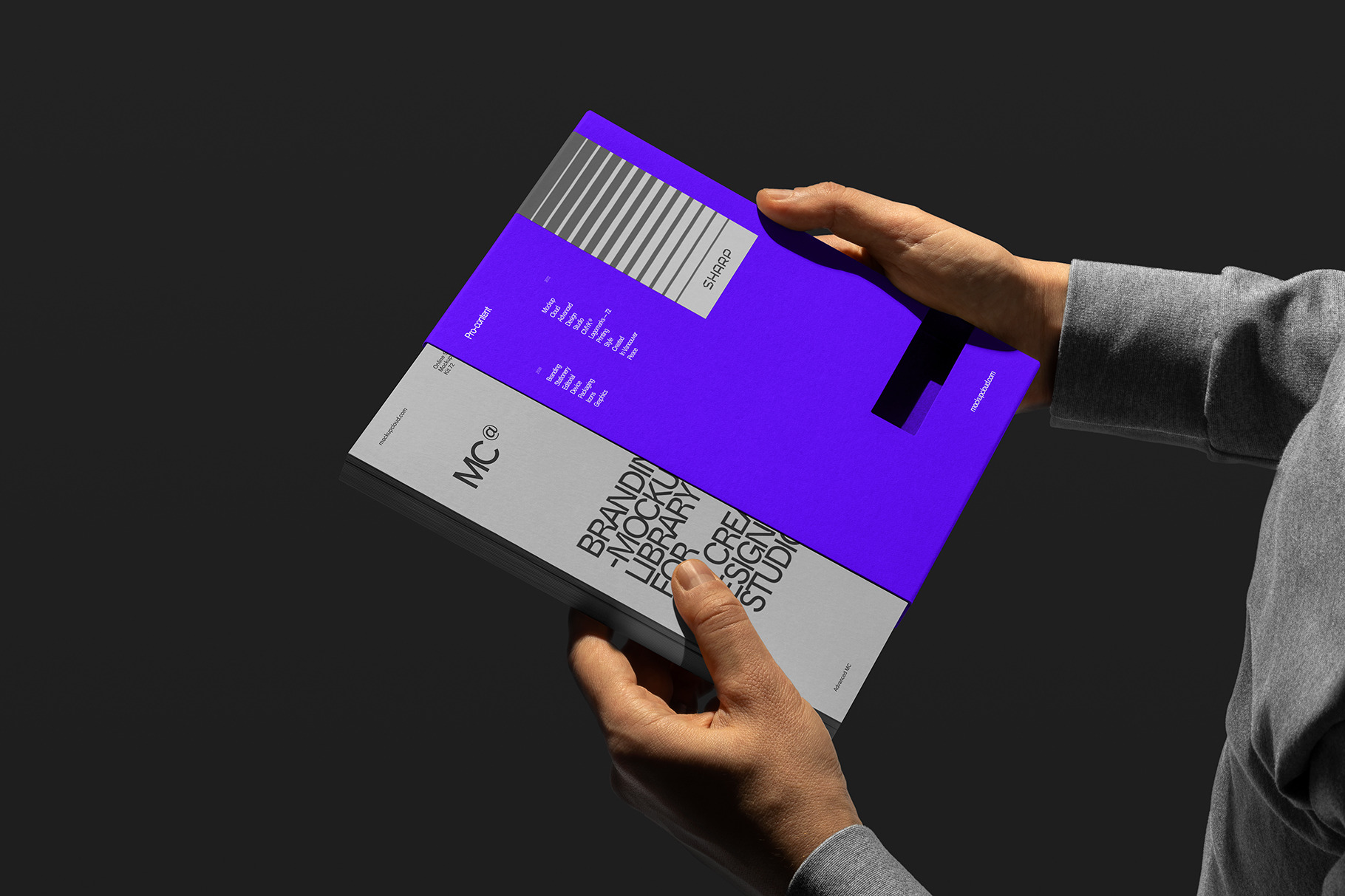 Book & Packaging Mockup